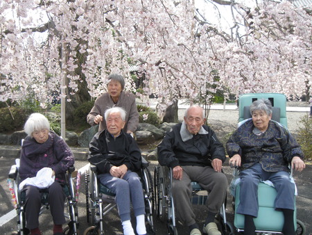 第２陣の方が午後本妙寺へしだれ桜の見学に行ってきました