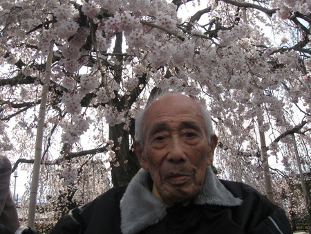 第２陣の方が午後本妙寺へしだれ桜の見学に行ってきました