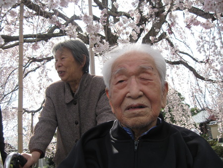 第２陣の方が午後本妙寺へしだれ桜の見学に行ってきました