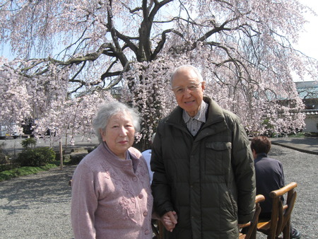 第3陣の利用者様が花見に出かけました。しだれ桜にうっとり