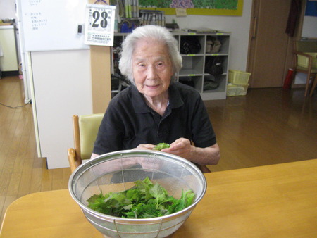 2人3脚の日常・掃除、ランチ、水ふきの処理