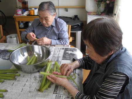 2人3脚の日常・掃除、ランチ、水ふきの処理