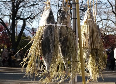 「潮かつお」手に入ったどー