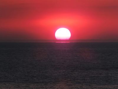 今夕　夕陽は　なぜか喰い物に見えた