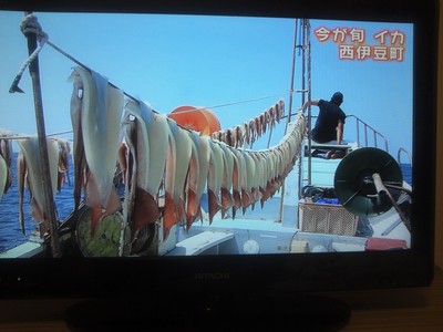 NHKで放送　トンボロ＆グルメ