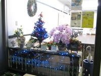 三島夢（さんとむ）では、クリスマスの飾りつけをしました。