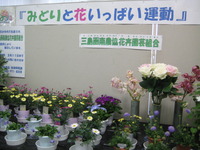 三島市；花いっぱい運動を行っています。