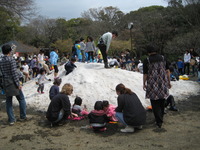 三島市：楽寿園の雪遊び。子供たちの歓声で賑やかでした。
