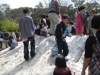 三島市：楽寿園の雪遊び。子供たちの歓声で賑やかでした。