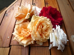 我が家の薔薇Ⅴ　ロイヤルハイネス　