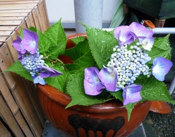 紫陽花～隅田の花火　