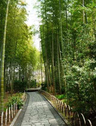 「修禅寺手づくり市」２日め　また買ってしまった～♪
