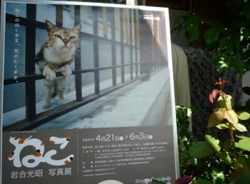 かんなみ仏の里美術館と写真展『ねこ』