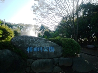 天気のいい日は　てくてく～柿田川湧水群