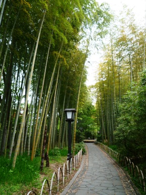 修善寺手づくり市終了～❤