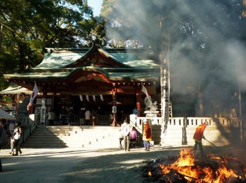 熱海来宮神社の大楠～❤
