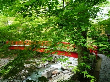 修善寺手づくり市終了～❤