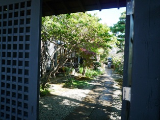 久留米絣の服、見に行ってきました。