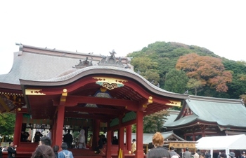 　鎌倉～「鶴岡八幡宮」の　あの大銀杏は今・・・
