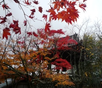 修禅寺もみじ市 無事終りました～❤