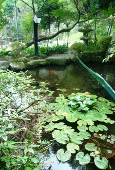 湯河原美術館