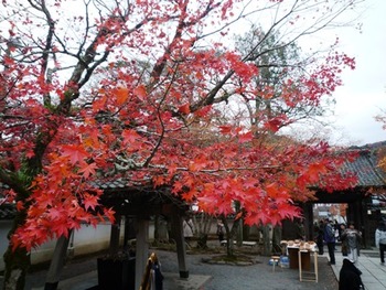 修禅寺もみじ市 無事終りました～❤