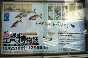 「絵で見る江戸の博物誌」～駿府博物館