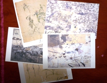 青木洋子作品展「小国紙に描く」～ギャラリープラザ