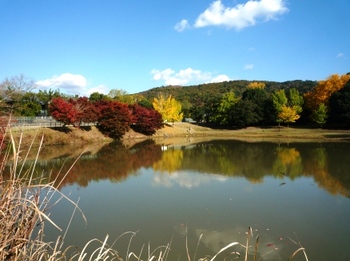 奈良の紅葉～「依水園」の庭