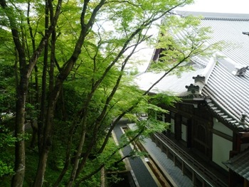 京都　永観堂の『みかえり阿弥陀』～❤