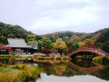 　横浜～『金沢文庫』と　称名寺の紅葉