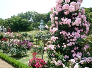 河津バガテル公園