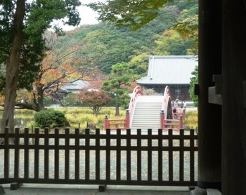 　横浜～『金沢文庫』と　称名寺の紅葉