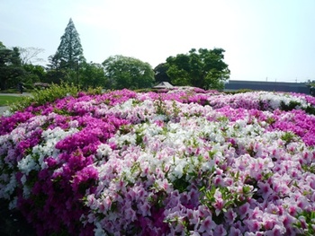 堂本印象美術館＆京都国立博物館めぐり