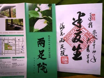 京都祇園　両足院の「半夏生の庭」
