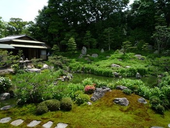 京都祇園　両足院の「半夏生の庭」