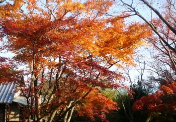 「２１世紀の伝統工芸ー世界の眼ー」～MOA美術館
