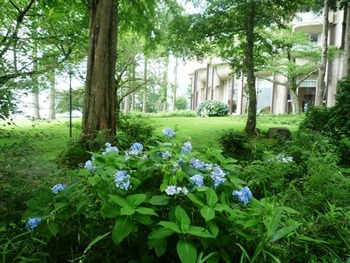 箱根の避暑タイム