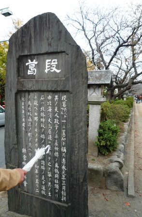 　鎌倉～「鶴岡八幡宮」の　あの大銀杏は今・・・