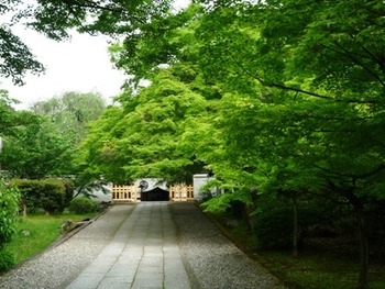 京都　法住寺と養源院