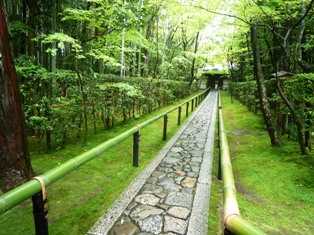 京都　紫野～大徳寺高桐院