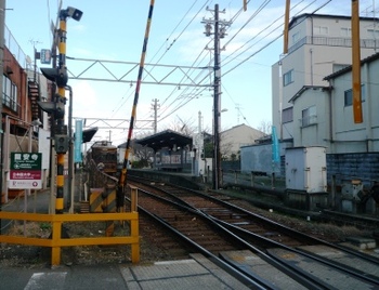京都　龍安寺から妙心寺　庭園巡りPatr2