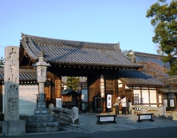 京都　龍安寺から妙心寺　庭園巡りPatr2