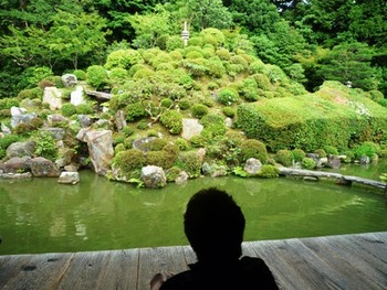 京都　智積院の庭園