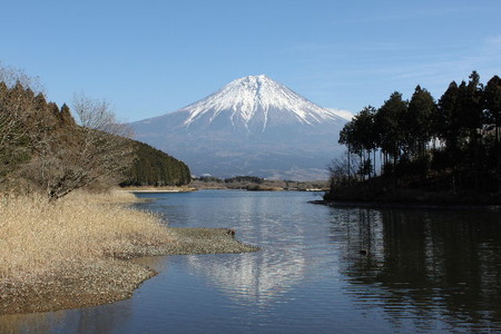 朝霧へ