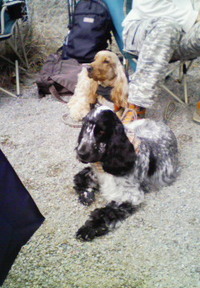 10ｔｈ Happy Tail Meeting in 清里