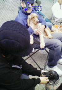 10ｔｈ Happy Tail Meeting in 清里