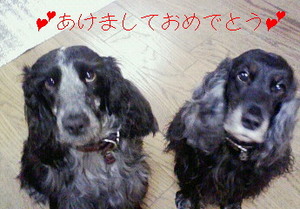あけましておめでとう