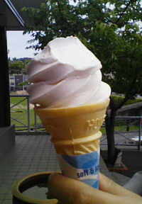 お花見③　那賀川堤散策