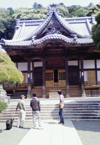 思いがけず修善寺